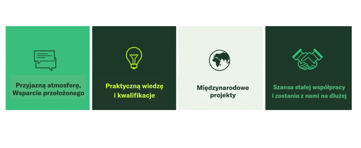 4Ikony  strona karier.png